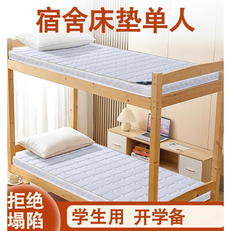 单人椰棕榈垫偏硬垫子